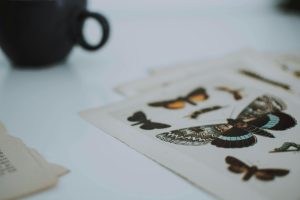 Close-up of butterfly artwork on paper beside a coffee cup for a creative still life.