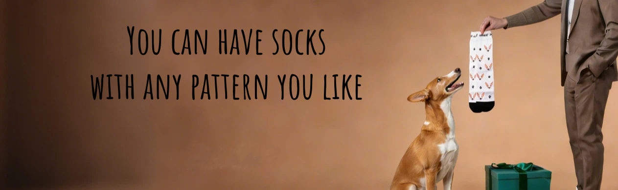 Luna Socks Pet Portrait